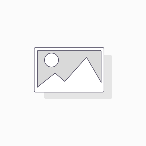 Dehydroepiandrosterone (DHEA) - 10g