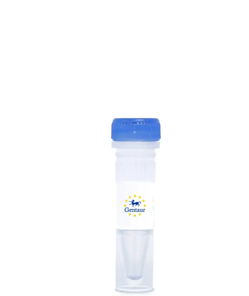 Anti-CRISPR Cas9 antibody